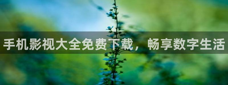 私人影院是怎么个流程