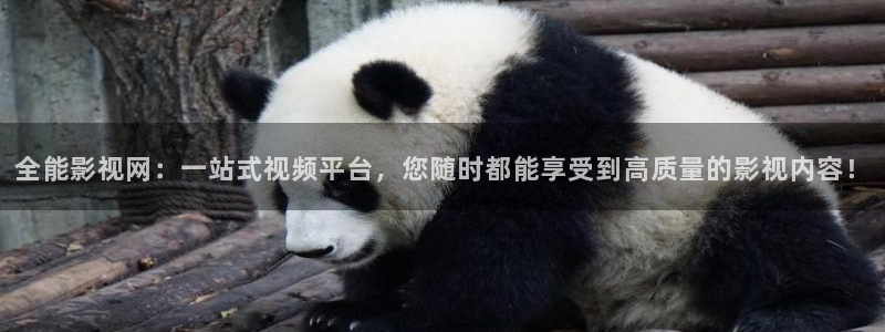 私人影院家庭影院在线