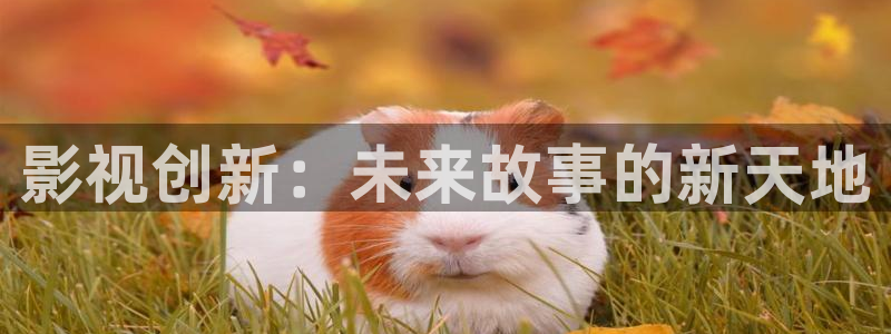 成都私人家庭影院的市场竞争力