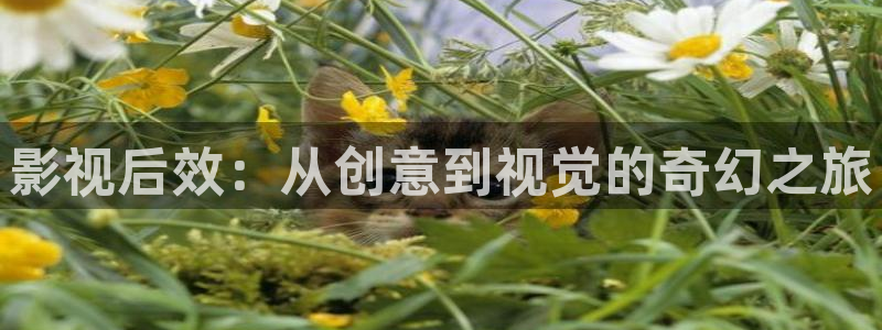 开私人影院的成本