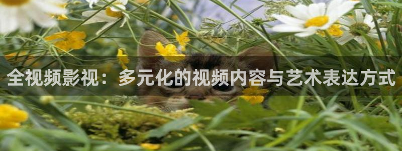 深圳私人影院有哪些